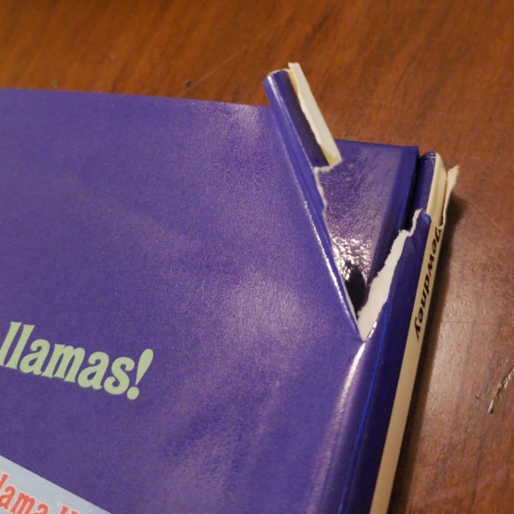 Llama llama home with mama by Anna Dewdney! - Picture 3 of 5